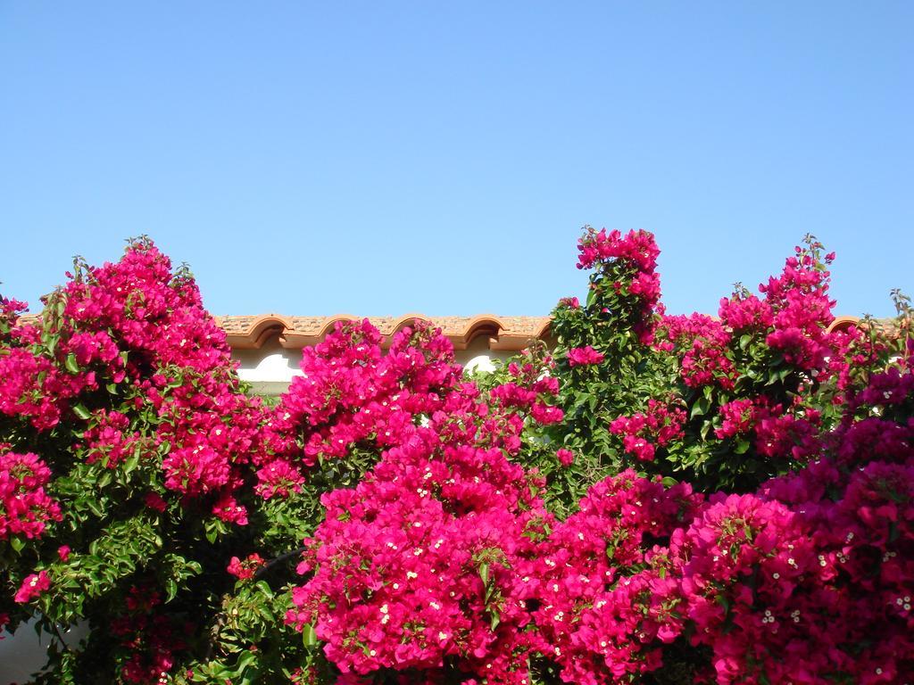Monte Dos Arneiros Hotel Lavre Bagian luar foto